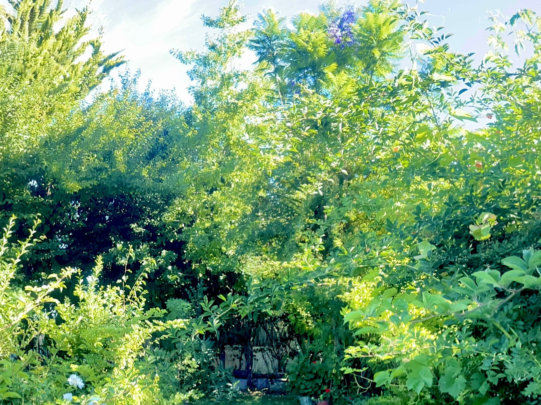 Hotel Vendimia Parador主图