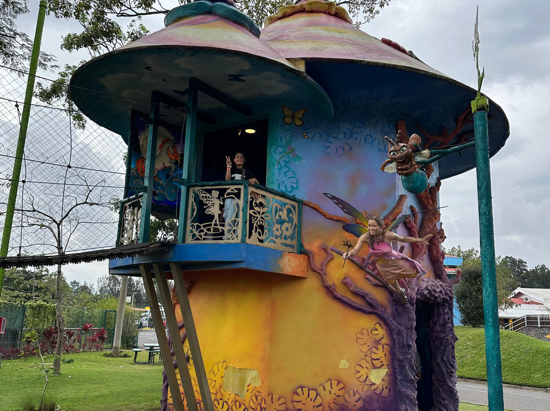 Parque Diversiones景点图片