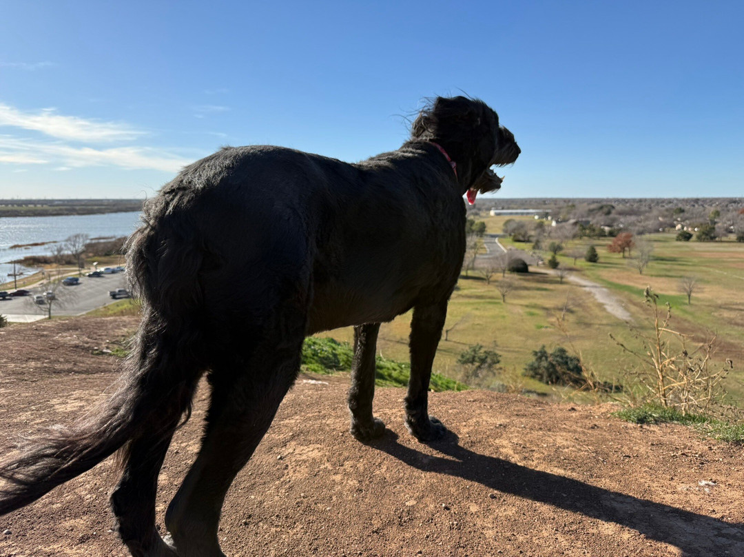 Lake Wichita Park景点图片