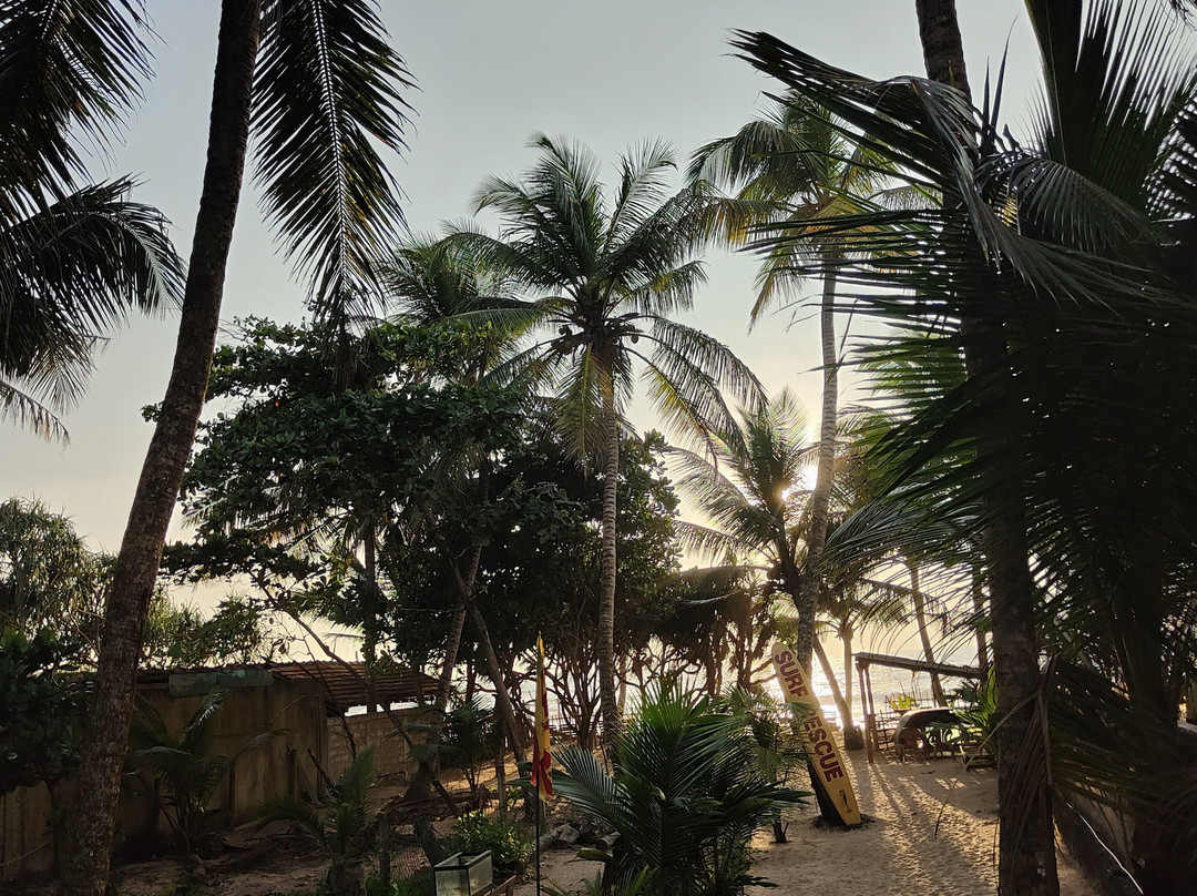 Arcade Beach Hotel主图