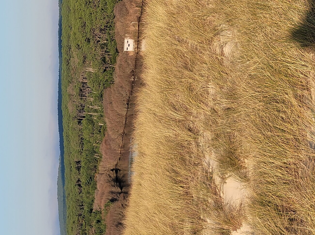 Sentier de Decouverte L'Etang de la Mailloueyre景点图片
