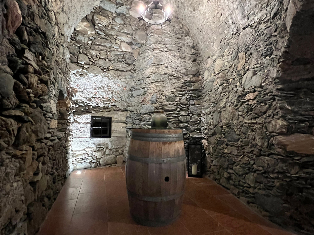 Schloss Mittersill主图