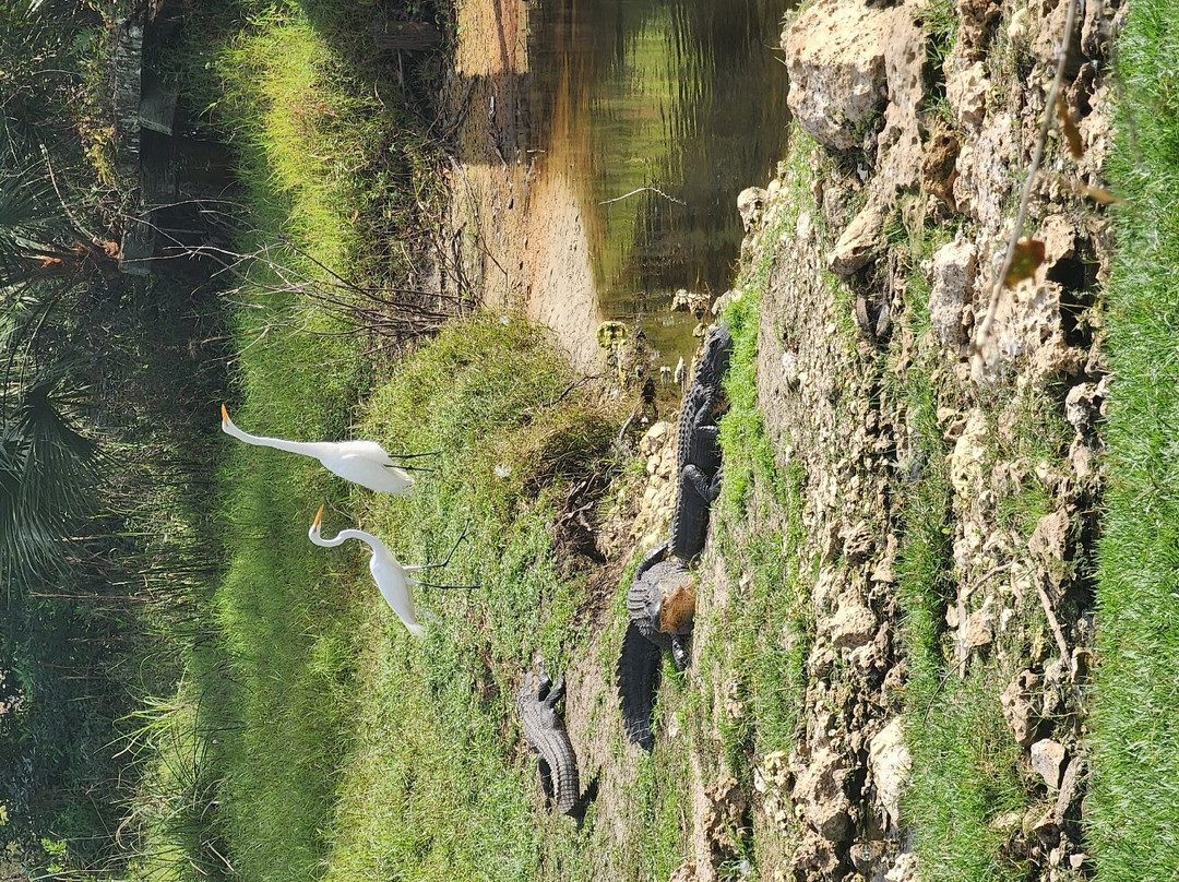 Babcock Ranch Preserve-蓬塔戈尔达必去景点