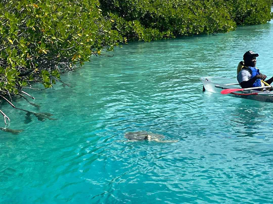Sup Provo-普罗维登西亚莱斯必去景点