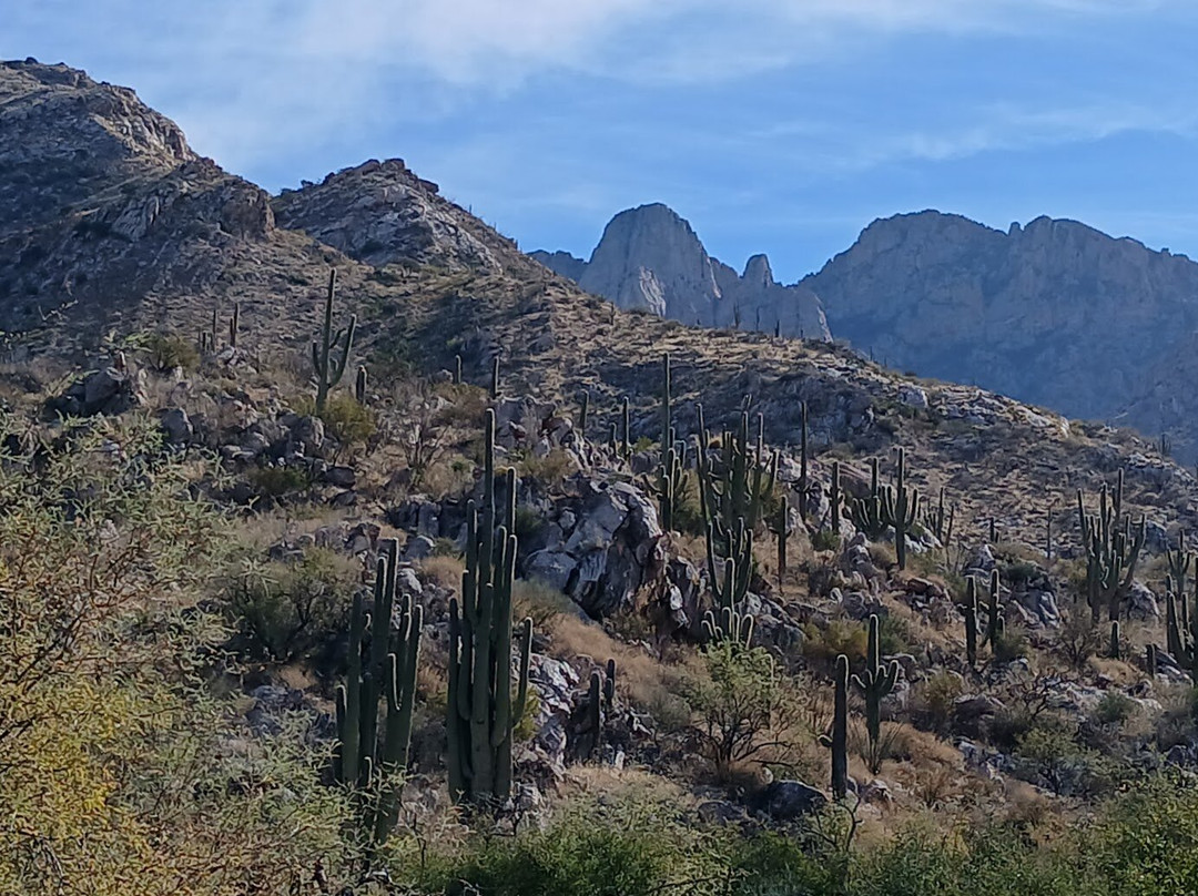 Catalina State Park-图森必去景点