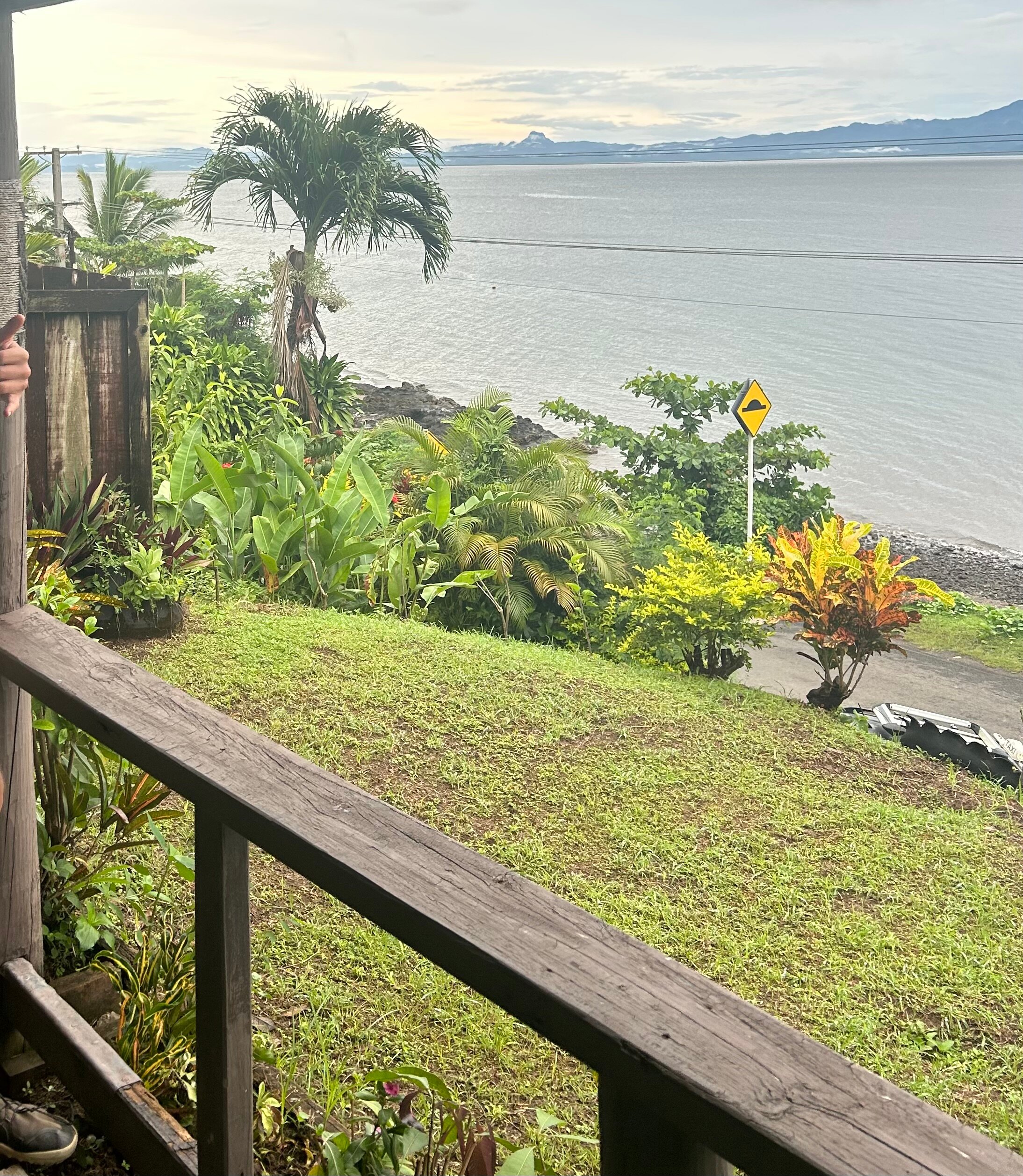 斐济壁虎山林小屋-官方