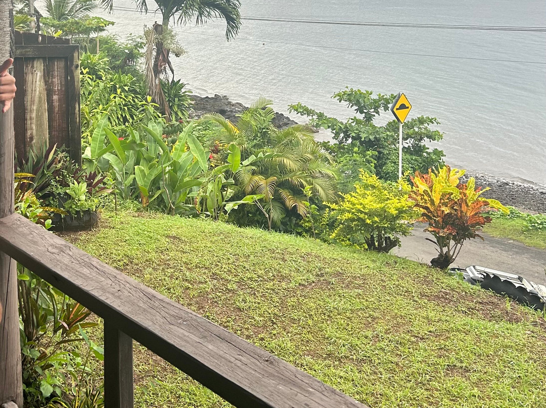 斐济壁虎山林小屋主图