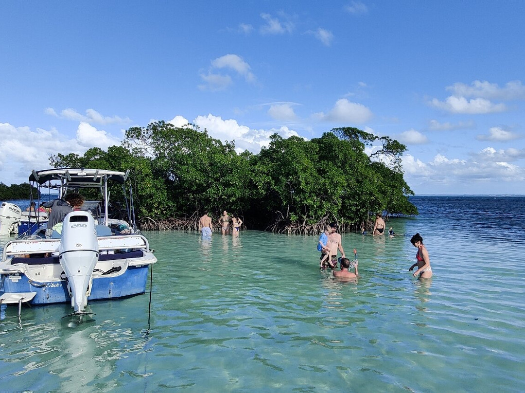 Gwadaventure-Sainte Rose必去景点