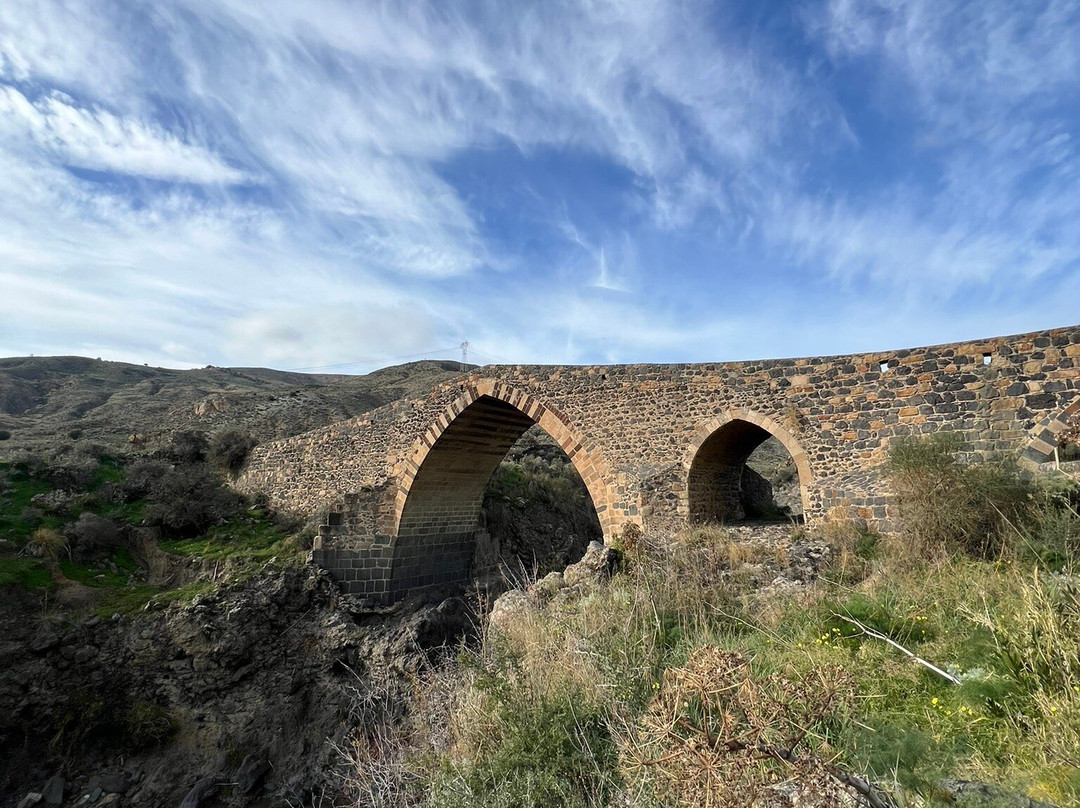 Ponte dei Saraceni景点图片