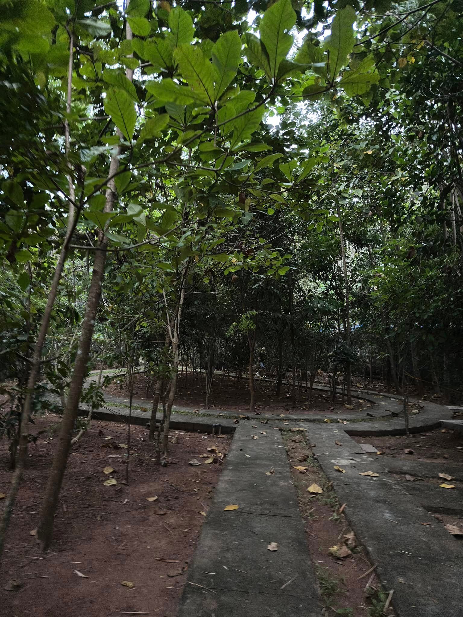 Mekosha Trivandrum Ayurveda Spasuites Retreat-浴室