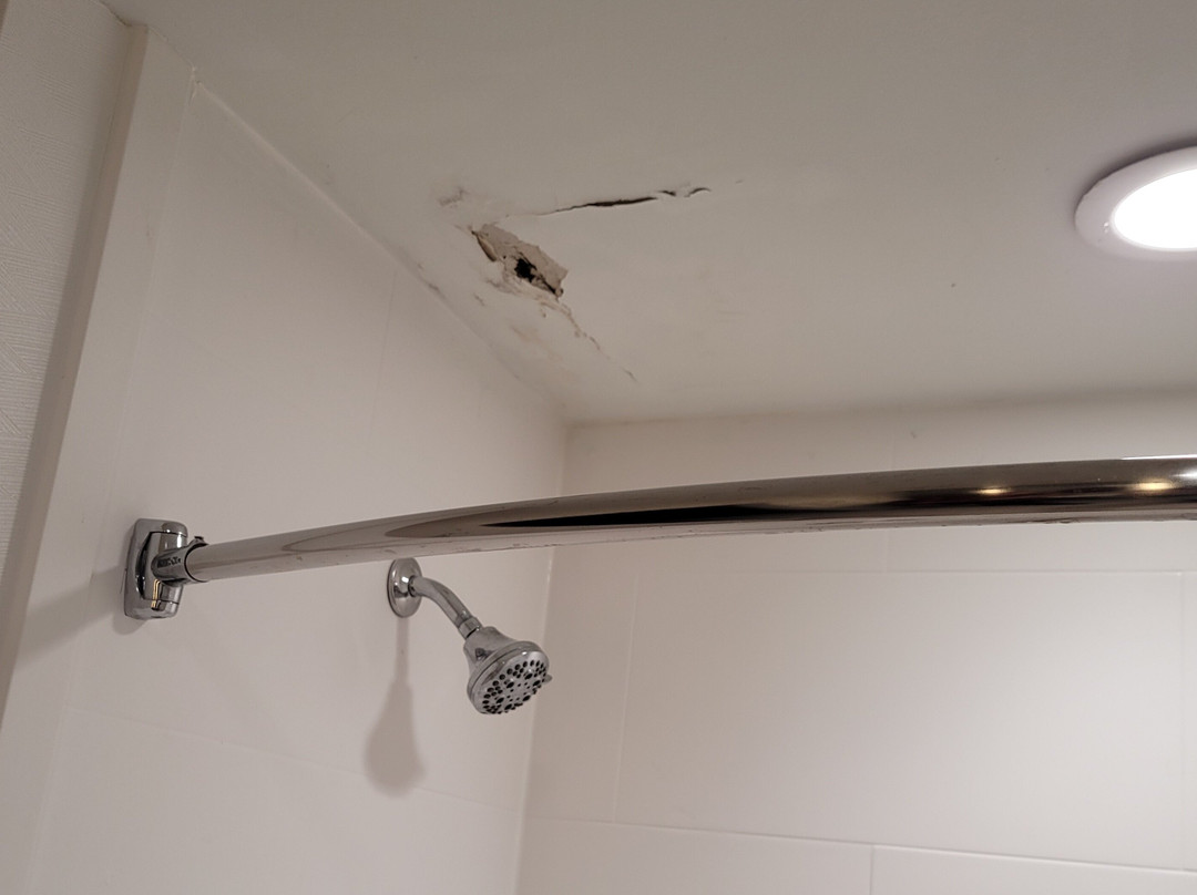 Hilton Garden Inn Jackson/Clinton主图