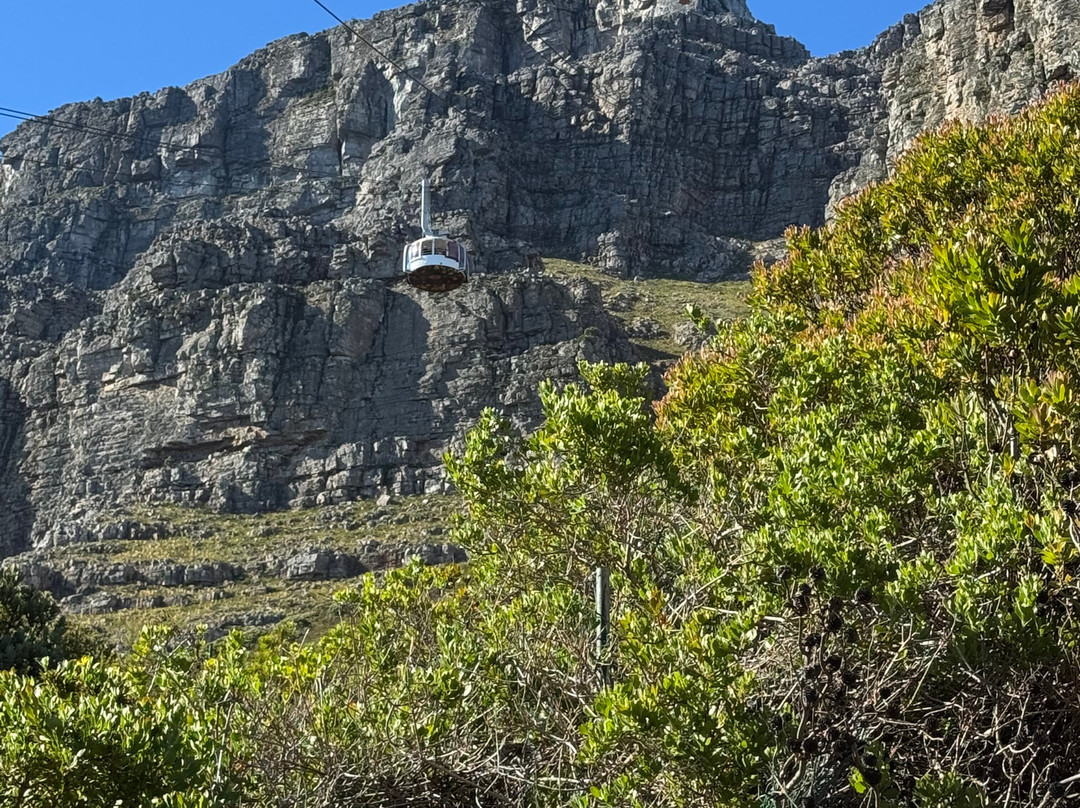 Africa Explore Safaris-开普敦必去景点