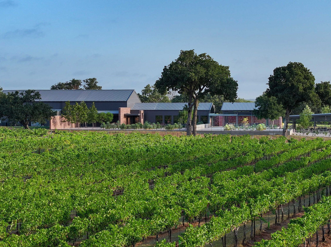 Invention Vineyards