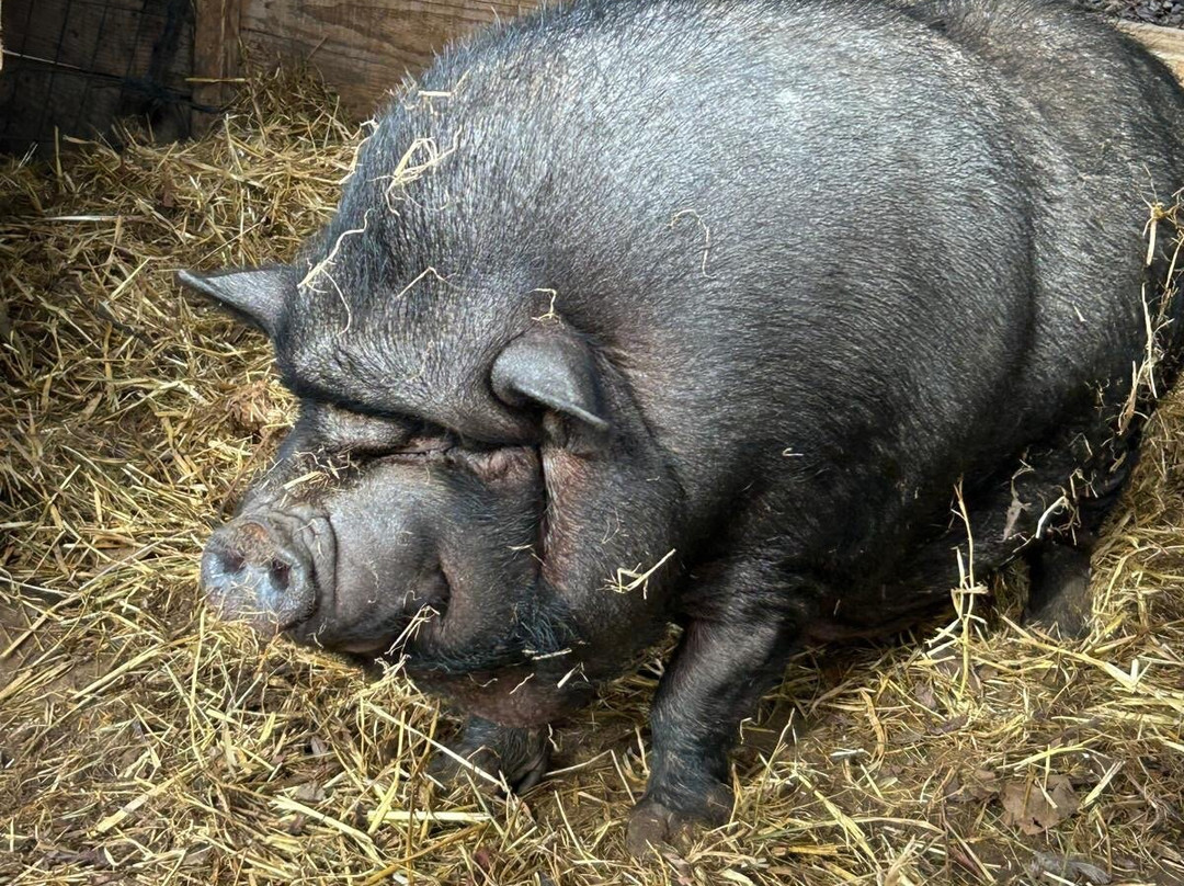 Núcleo Zoológico Iris-Barbastro必去景点