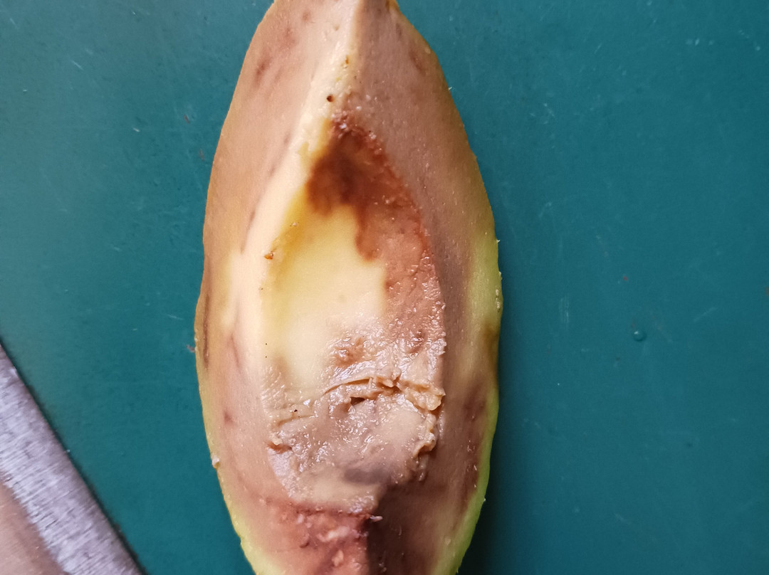 Oregano Latin Bar And Grill