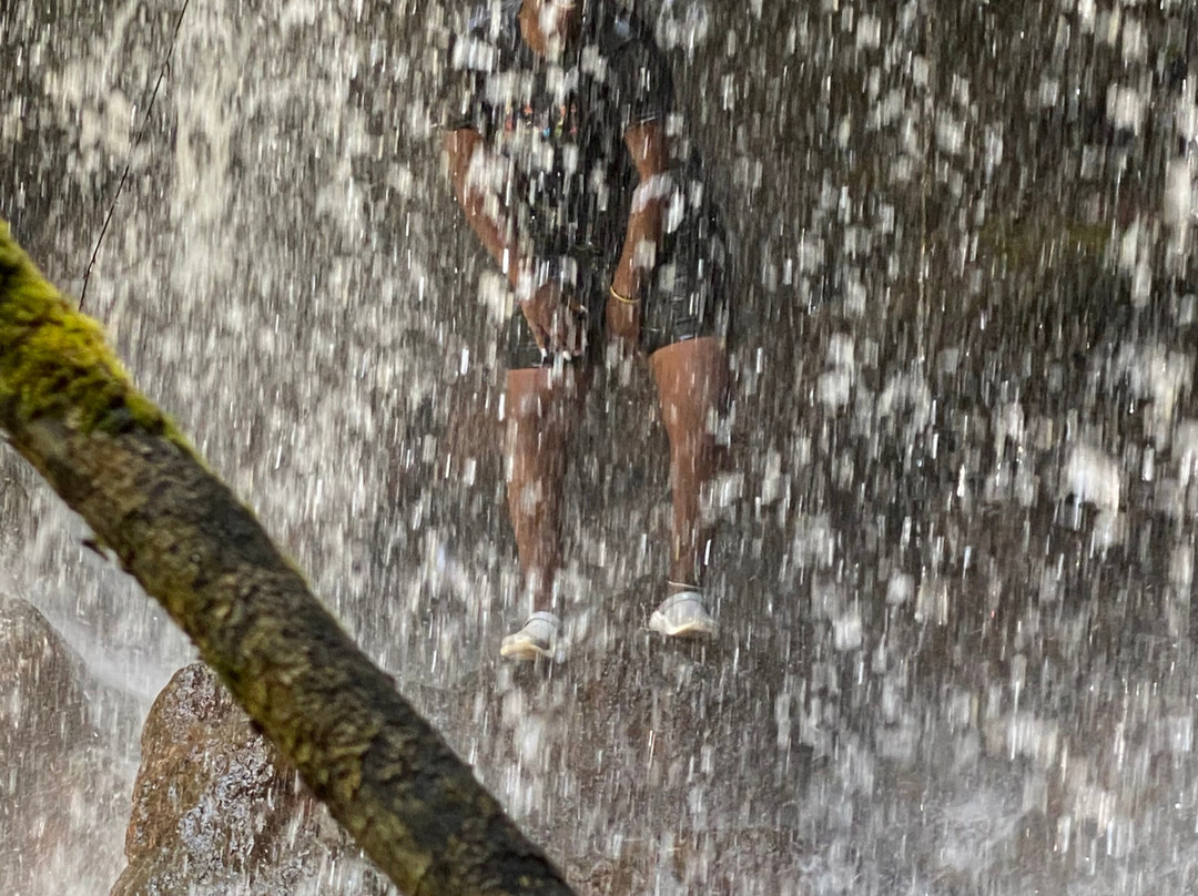 Chimp Trails Africa-Wakiso必去景点