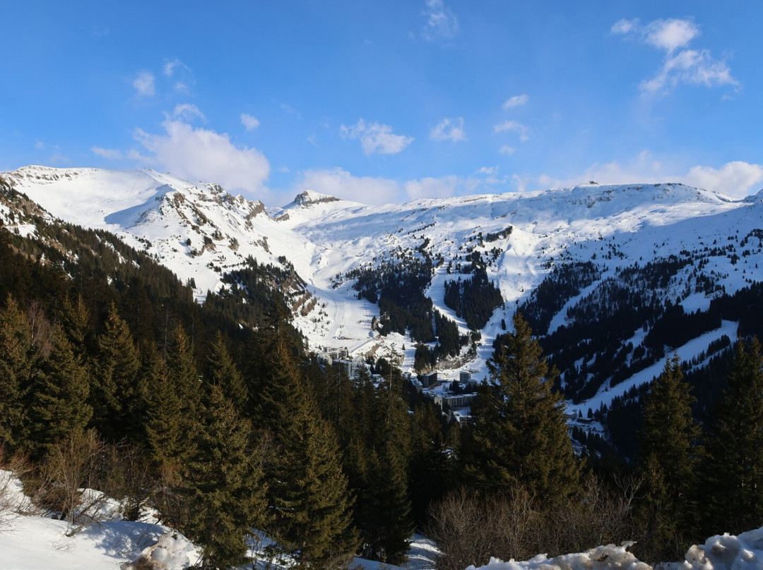 Domaine skiable FLAINE景点图片