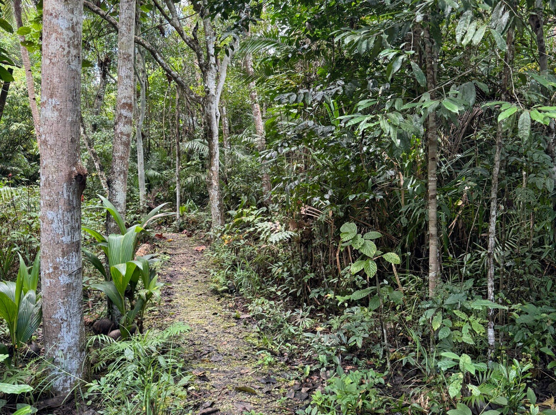 Philippine Tarsier Recreation Inc.-塔拉瓦环礁必去景点