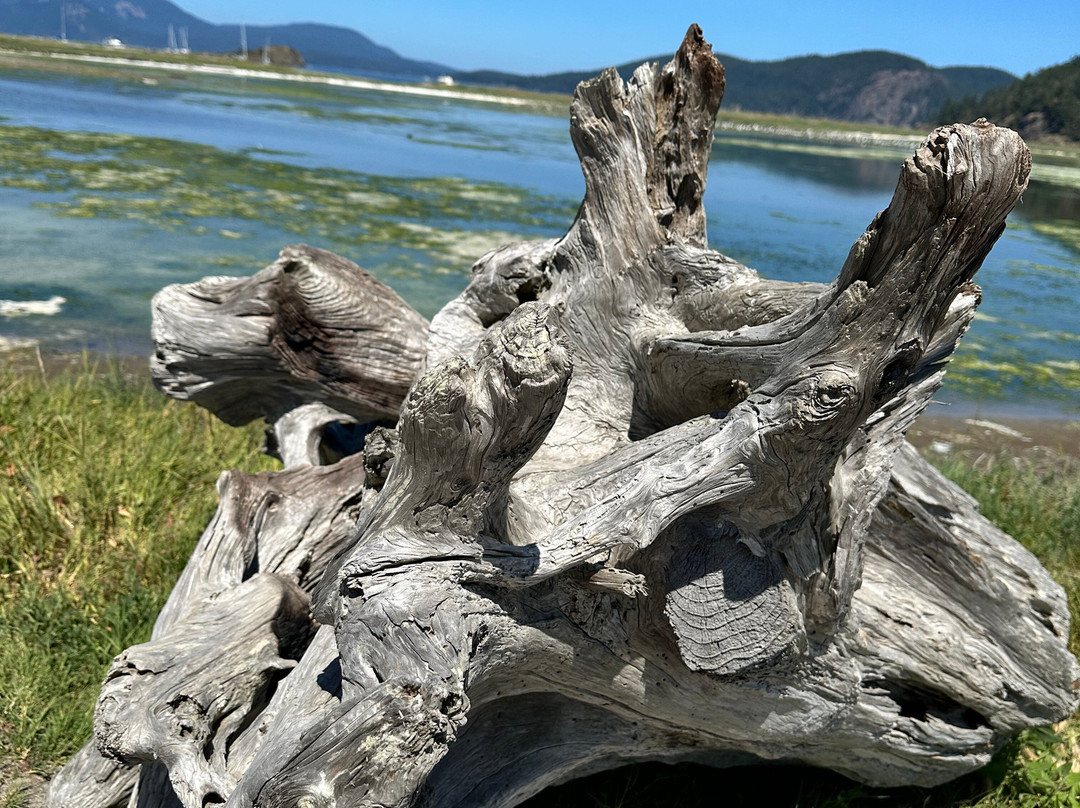 Edenwild Boutique Inn主图