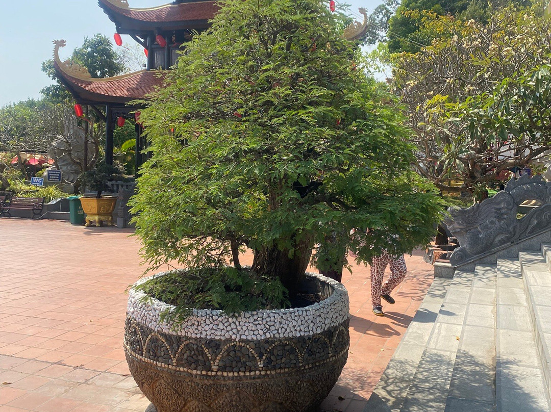 Thien Vien Truc Lam Phuong Nam-芹苴必去景点