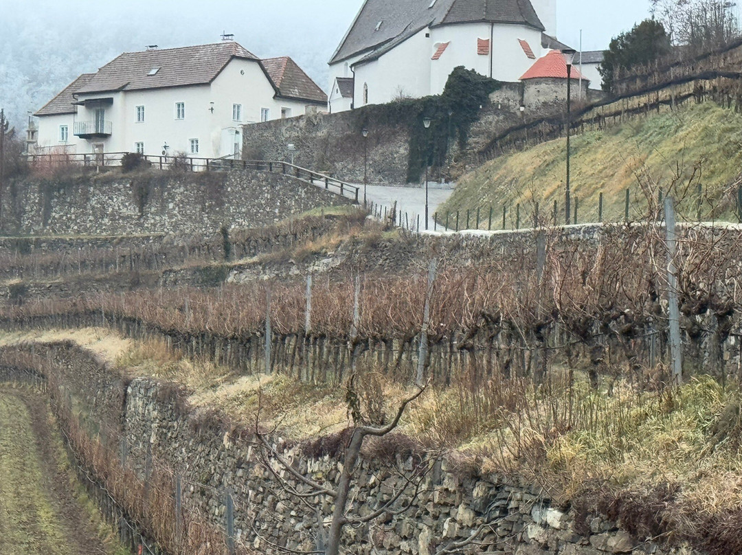 Weingut Nigl-Senftenberg必去景点