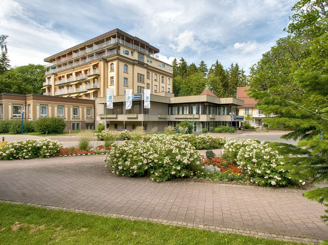 Brigachtal旅游攻略图片