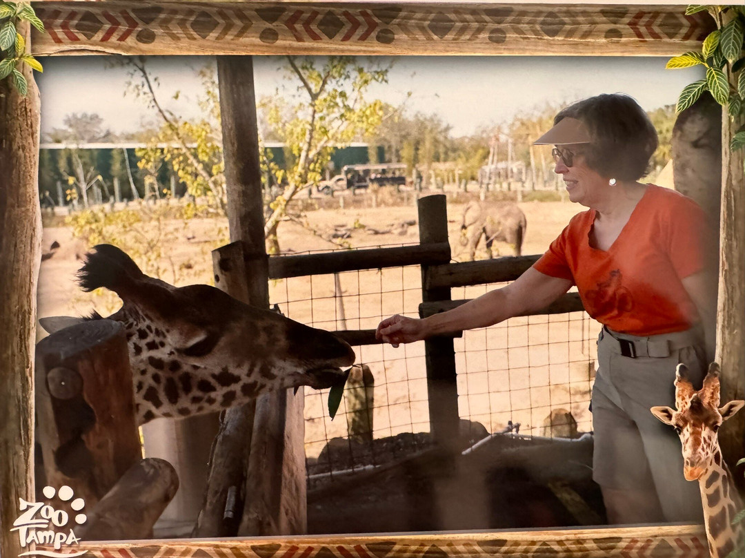 罗瑞公园动物园-坦帕必去景点