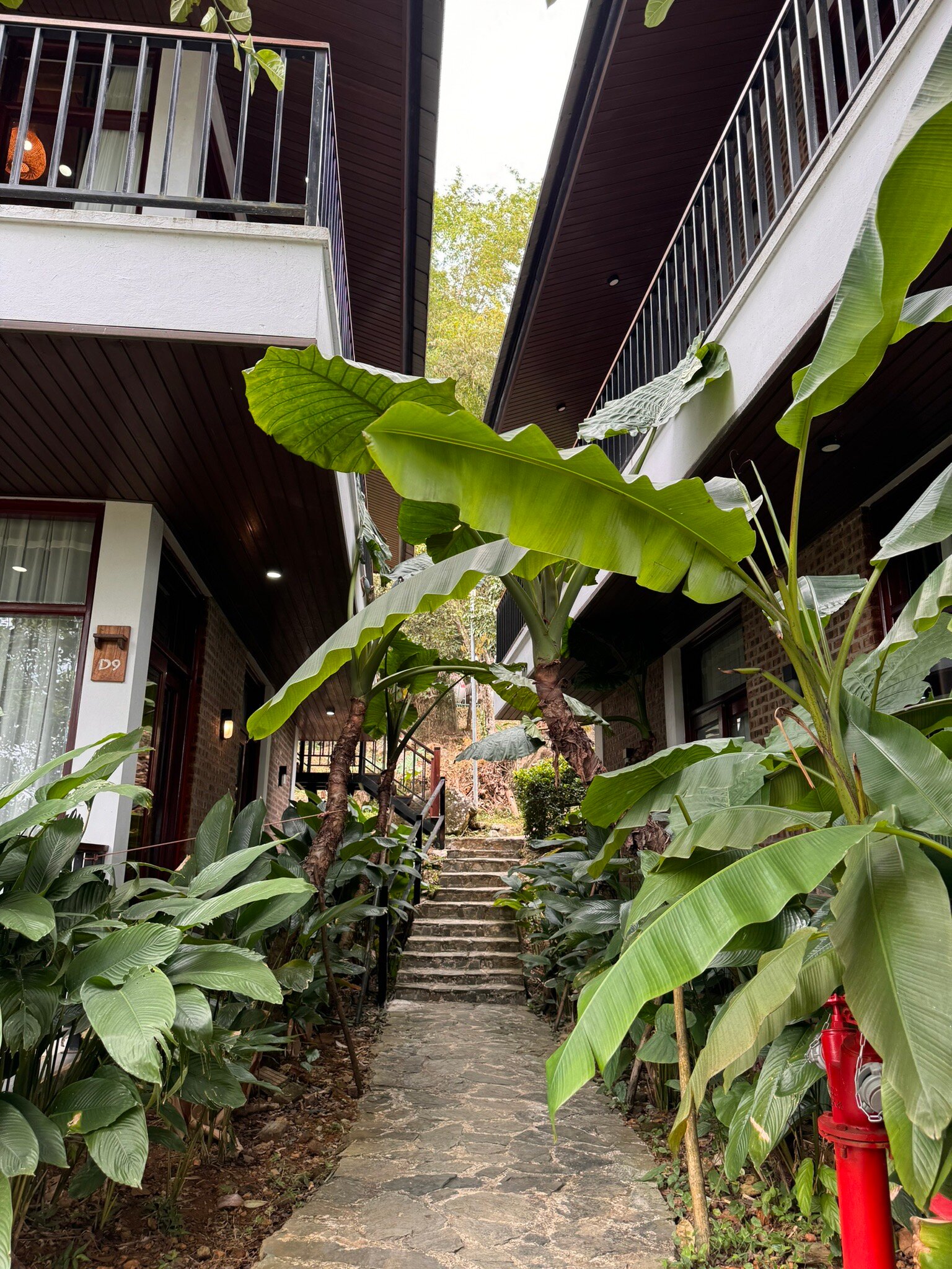 PU Luong Bocbandi Retreat-官方