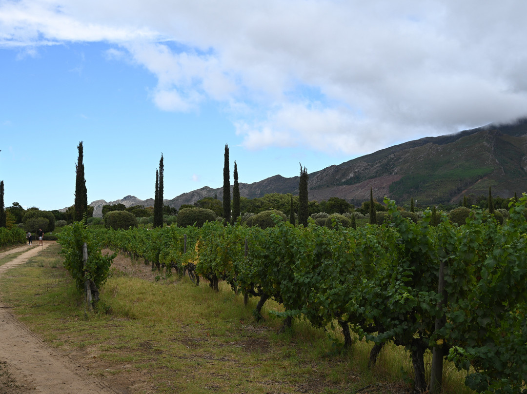 Grand Provence Estate-法兰舒克必去景点