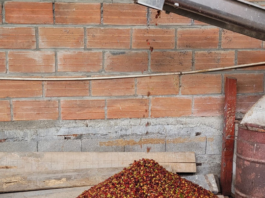 Casa de Monte-麦德林必去景点