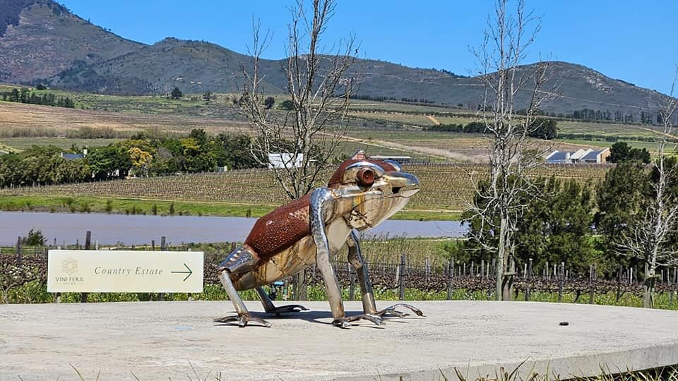 Anura Vineyards-Klapmuts必去景点