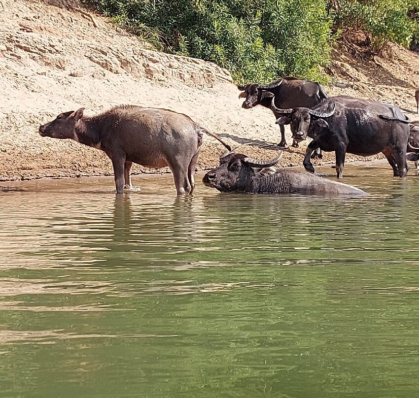 Mekong Ramsar Trail-Stung Treng必去景点