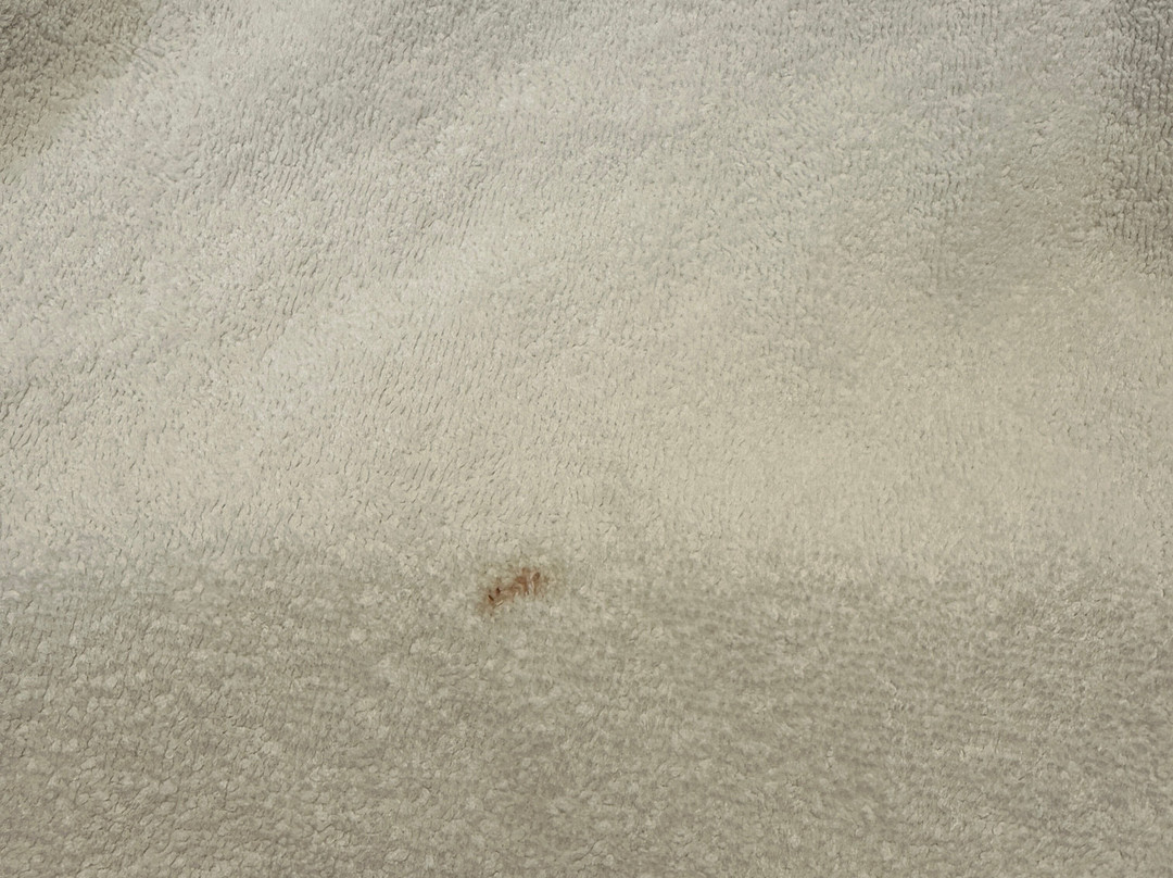 库尔曼希尔顿恒庭酒店主图