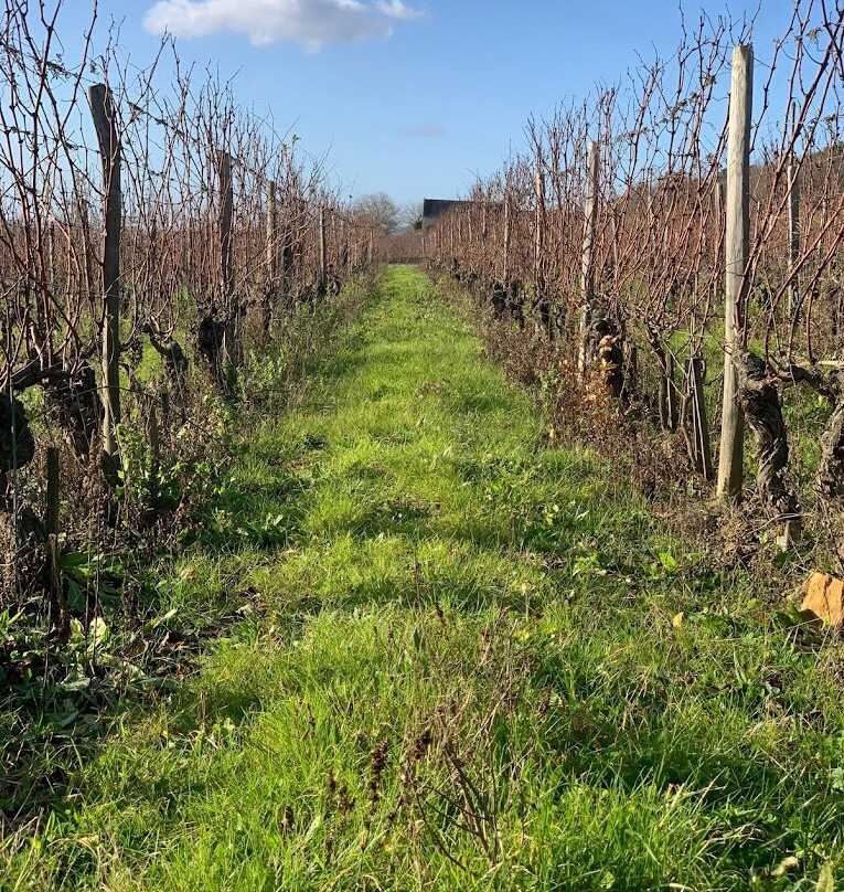 Domaine Grosbois-Panzoult必去景点