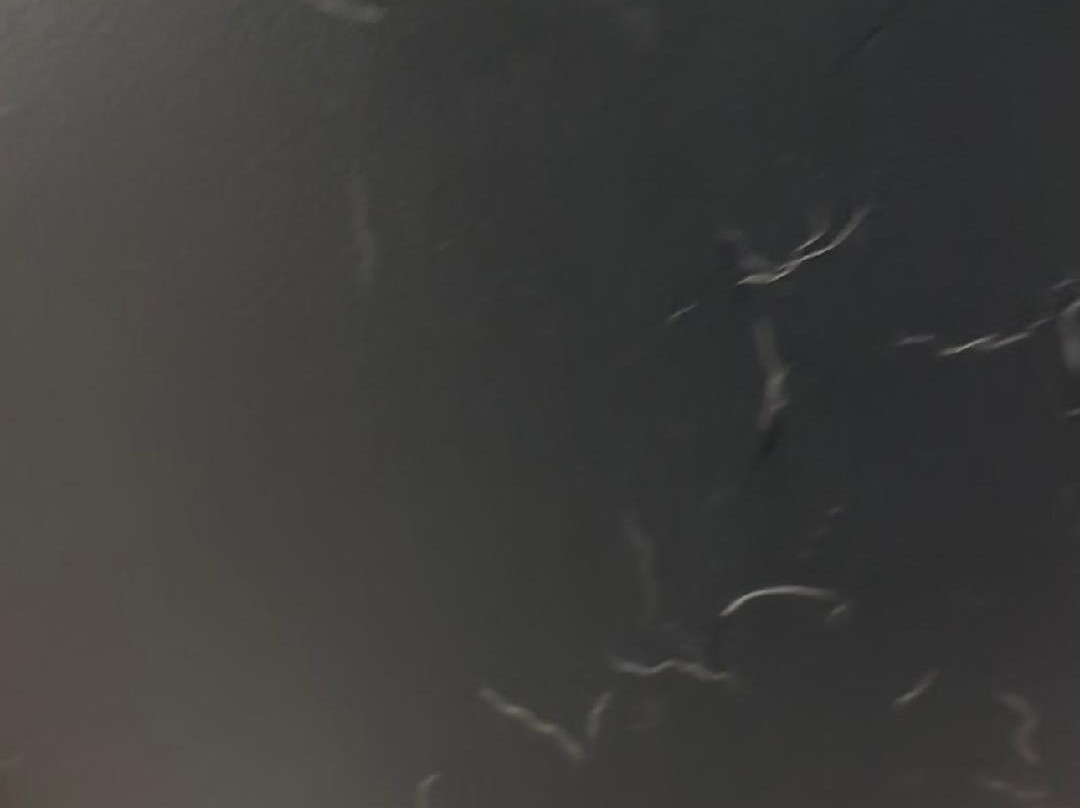 Aloft Atlanta Perimeter Center主图