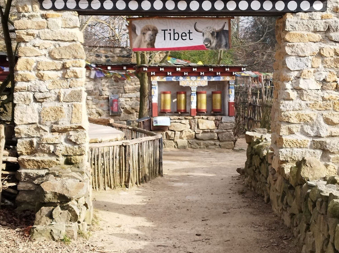 Naturschutz Tierpark Gorlitz景点图片