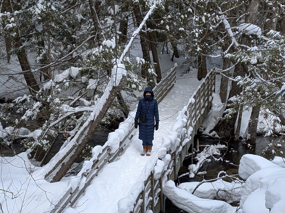 McCune Nature Preserve-皮托斯基必去景点