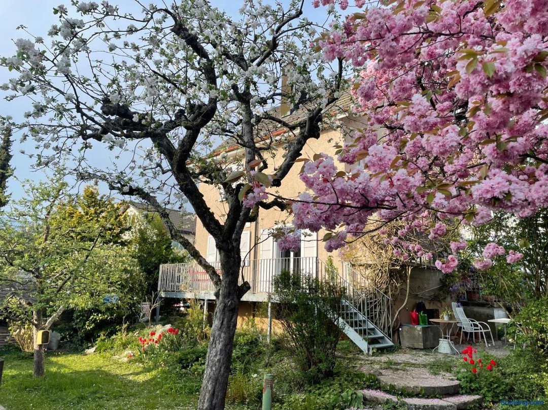 Au Jardin