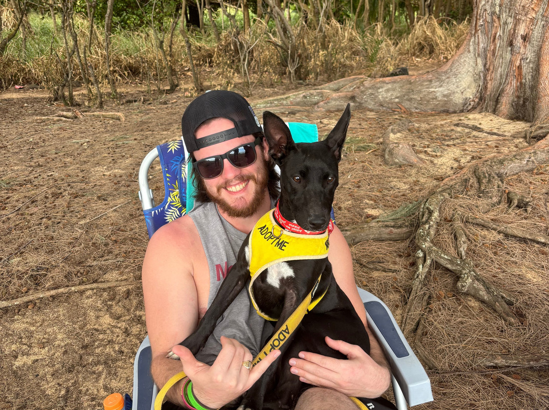 Kauai Humane Society-利胡埃必去景点