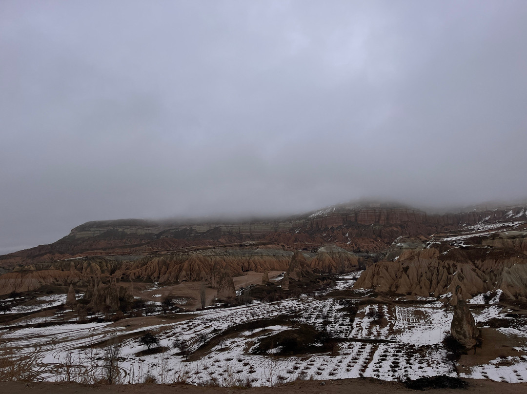 World Of Tomorrow Travel-格雷梅必去景点