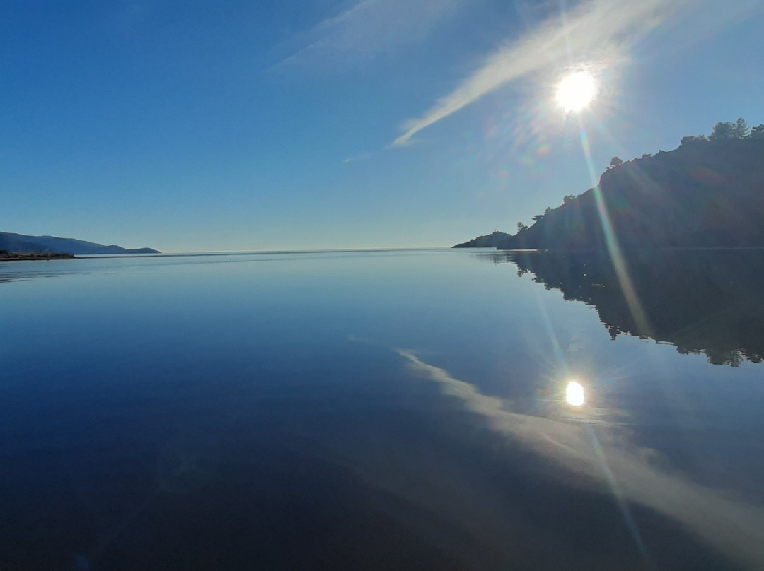 Dalyan Boat Tours - Ege Kaptan-达利安必去景点