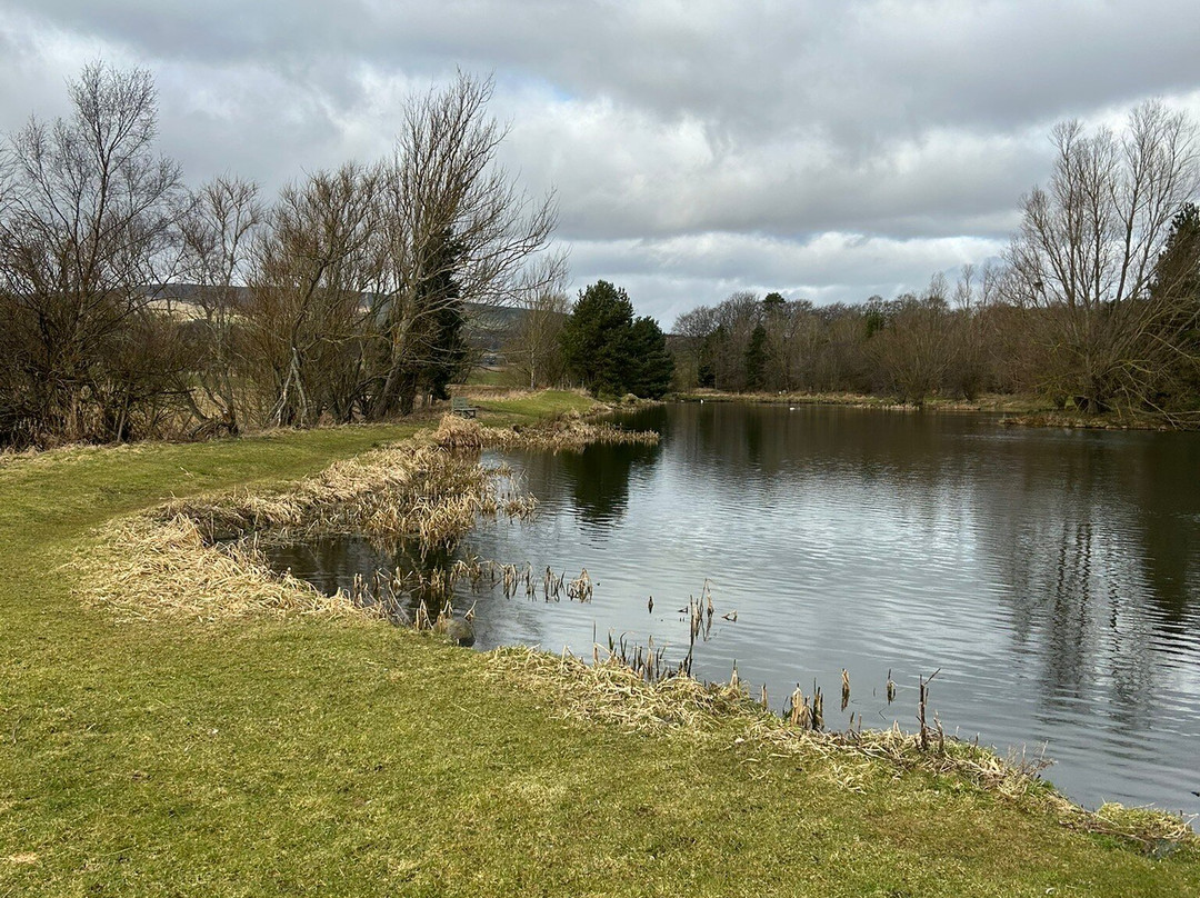 Loch Insch Fishery-Insch必去景点