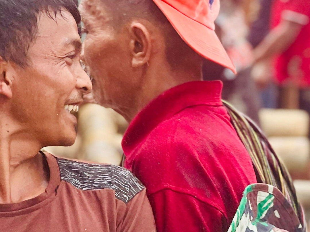 Tana Toraja Tours景点图片