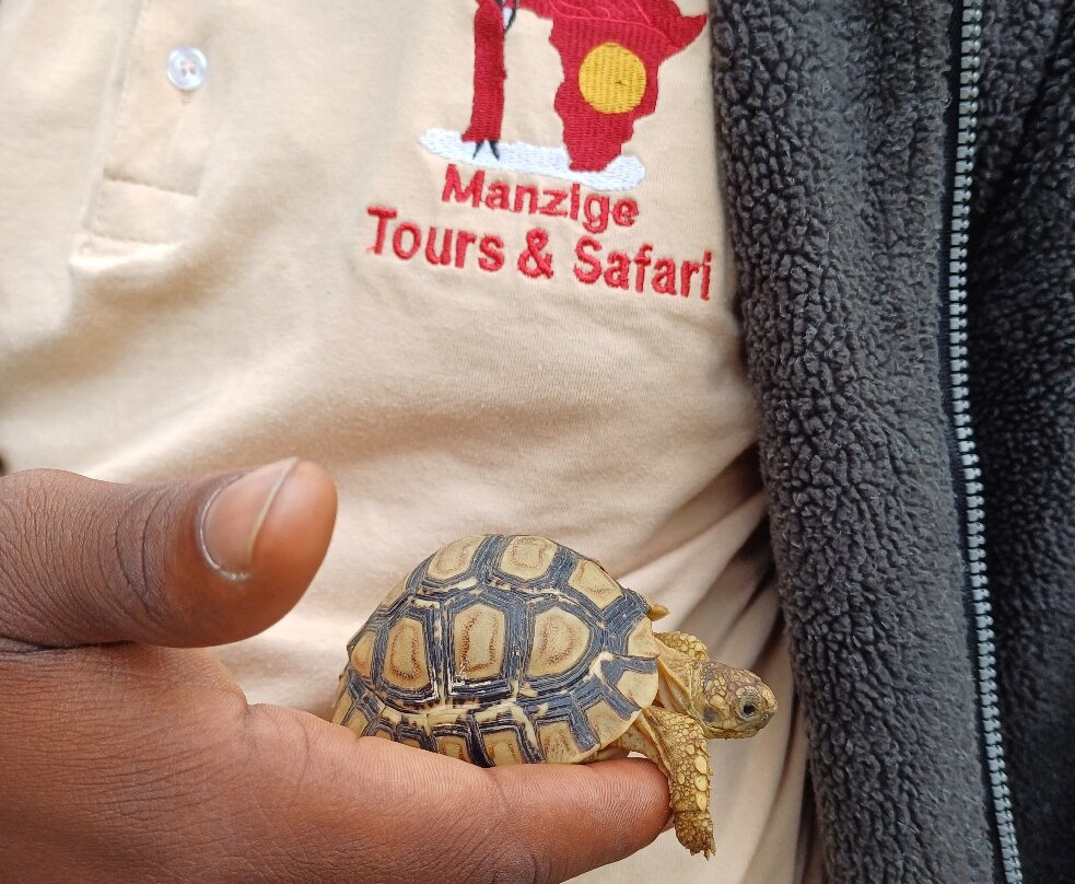 Manzige Tours-Mwanga必去景点