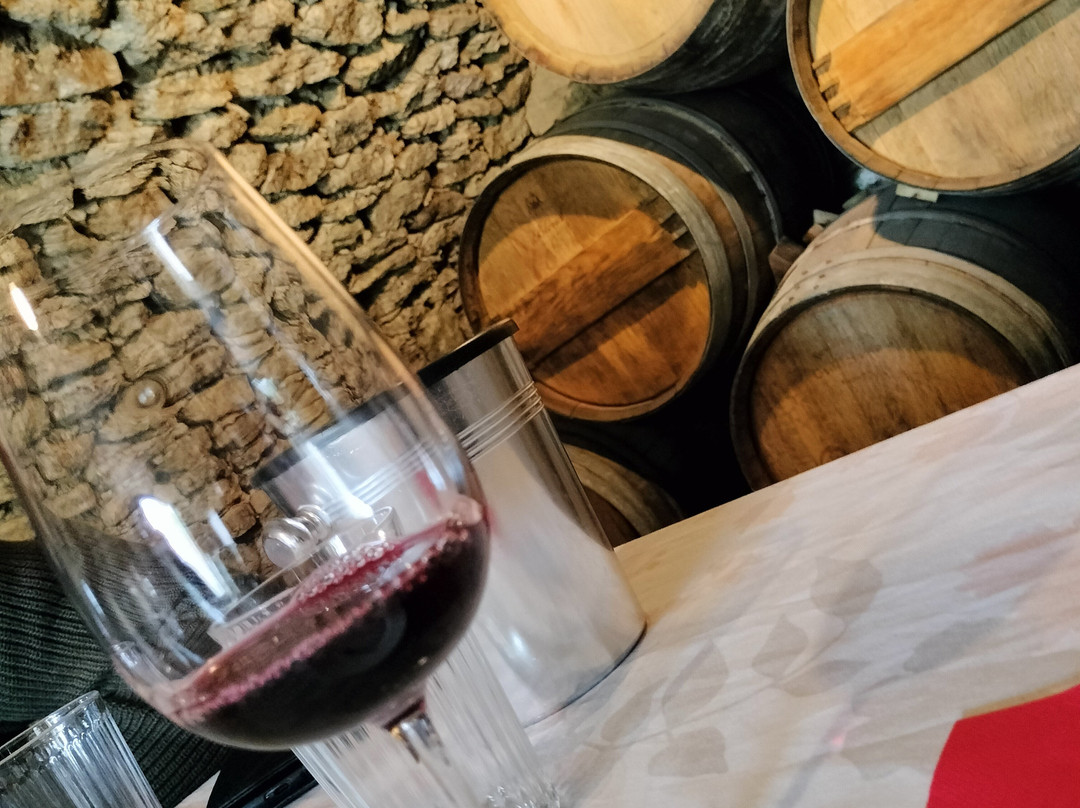 Bodega Kieninger景点图片