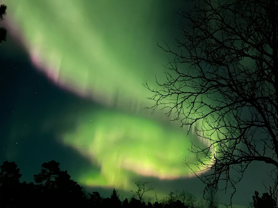 Husky Home-基律纳必去景点