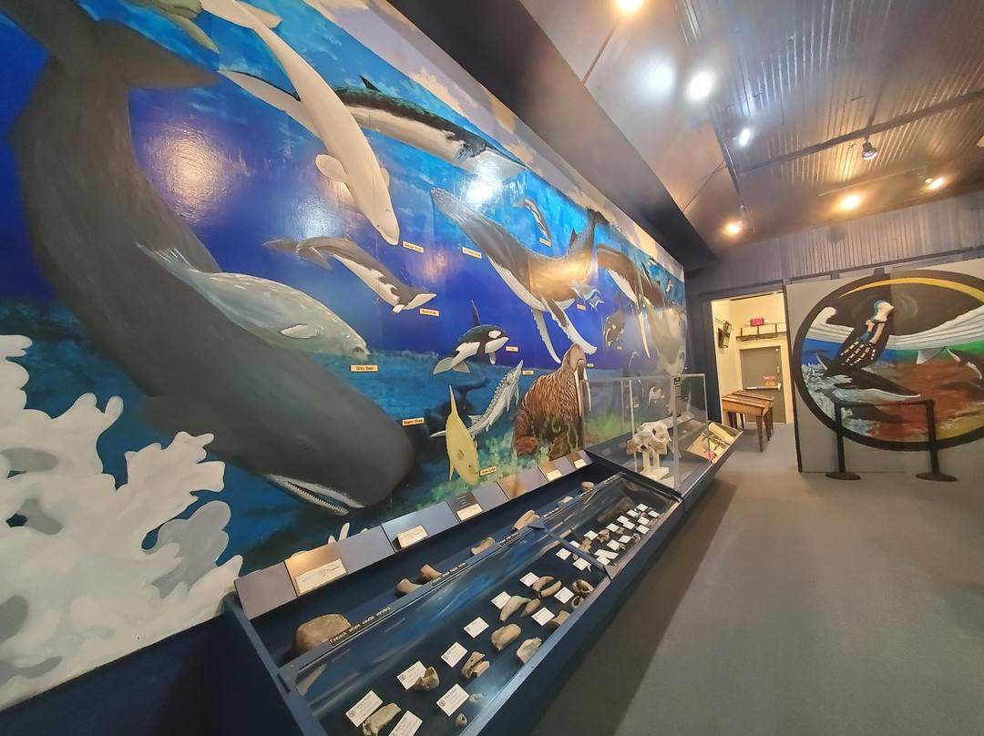 Aurora Fossil Museum景点图片