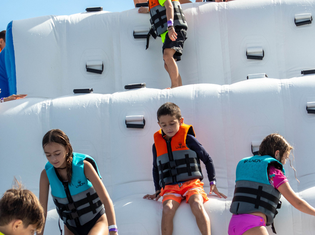 Shark Wake Park 561景点图片