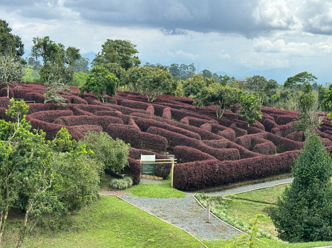 Laberinto Mil Caminos