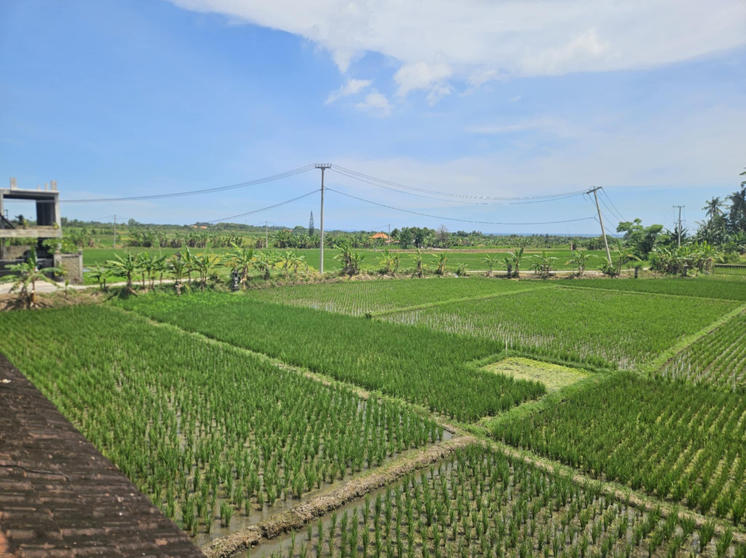 Bali Dirt Bike Adventures-库塔必去景点